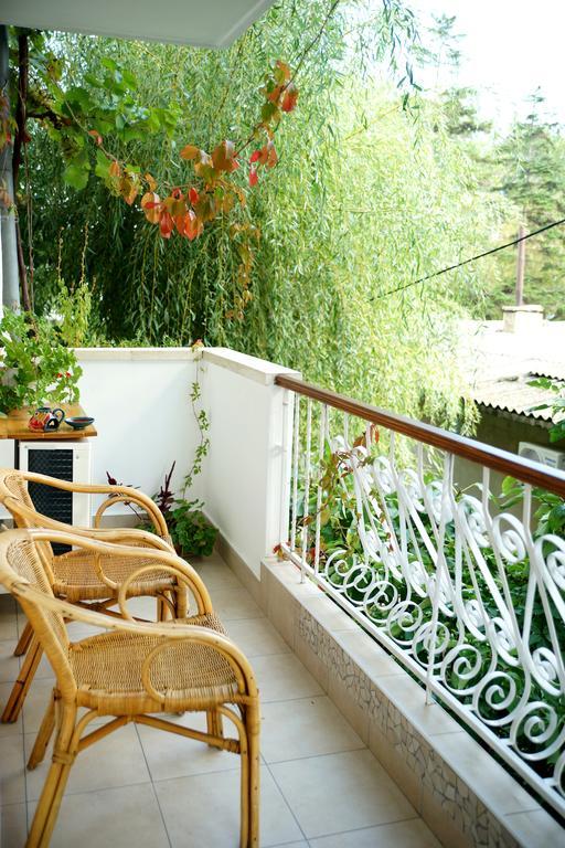Guest House Barbov Obzor Rum bild